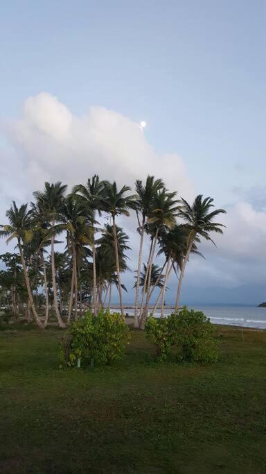 Free Wifi 1St Floor Apartment Punta Santiago Екстер'єр фото